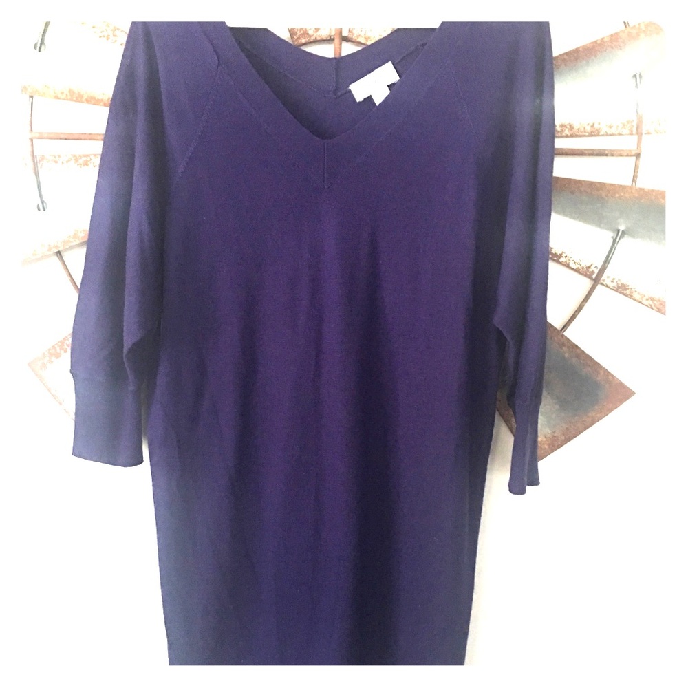 Ann Taylor Loft purple sweater dress